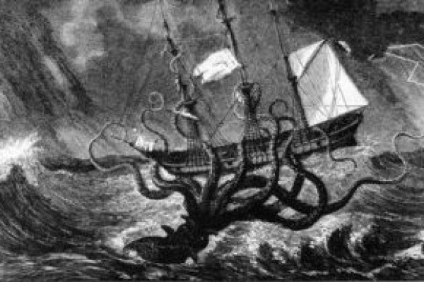 Kraken как найти ссылку