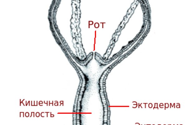 Кракен в обход