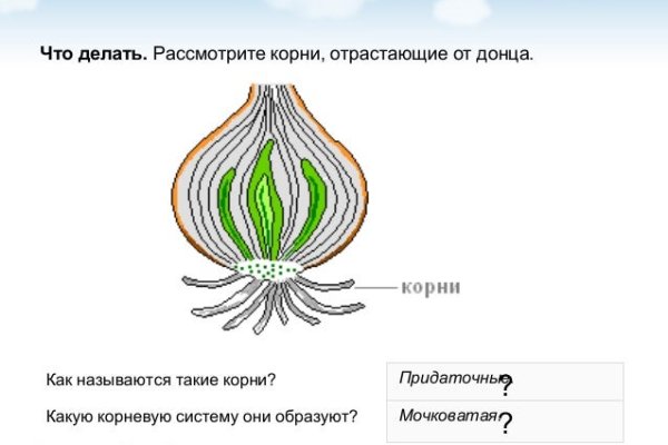 Найти ссылку на кракен