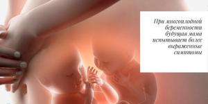 Беременность двойней: от первых признаков до родов 30 нед беременности двойня что происходит