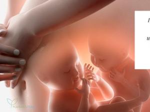 Беременность двойней: от первых признаков до родов 30 нед беременности двойня что происходит